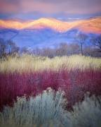 Field Layers (Kirbyturnage) - Muzeo.com