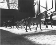 Figurines de chevaux sur la moquette (Amos Chan) - Muzeo.com