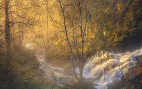 First light (Rune Askeland) - Muzeo.com