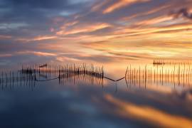 Fishnets (Jose Beut) - Muzeo.com