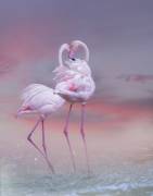 Flamingo Ballet (Krystina Wisniowska) - Muzeo.com