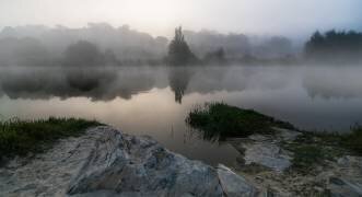 Fog (Marcos Marcos Adanez) - Muzeo.com