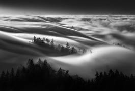 Fog Wave (Aidong Ning) - Muzeo.com