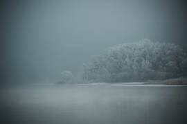 Foggy (Renate Wasinger) - Muzeo.com