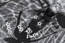 Frangipani tree (Gloria Salgado Gispert) - Muzeo.com