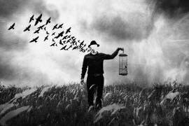 Freedom (Jay Satriani) - Muzeo.com