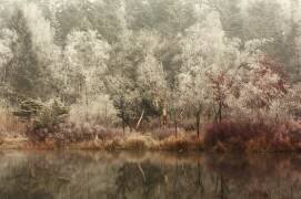 Frozen (Anton van Dongen) - Muzeo.com