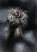 Game over (Gilbert Claes ) - Muzeo.com