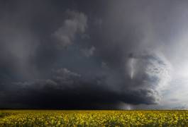 Gewitterfront (Nicolas Schumacher) - Muzeo.com