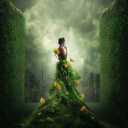 Go Green (Hardibudi) - Muzeo.com