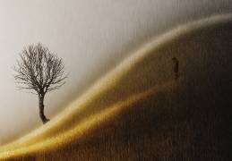 Golden hills (Helge Andersen) - Muzeo.com