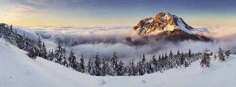 Golden Peak (Tomas Sereda) - Muzeo.com