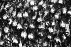 Great Escape (Mohammed Alnaser) - Muzeo.com