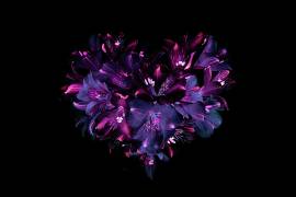 Heartfelt (Jacky Parker) - Muzeo.com