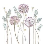 Helenium (Mandy Disher) - Muzeo.com