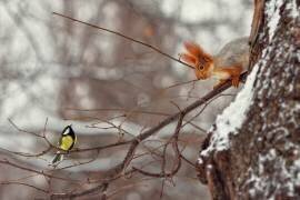Hi (Dmitry Laudin) - Muzeo.com