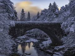 Highlands Bridge (Rob Darby) - Muzeo.com