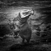 Hipo (Juan Luis Duran) - Muzeo.com