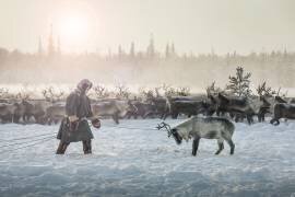 Hunting II (Patrik Minar) - Muzeo.com