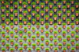 I had a dream tonight (Gloria Salgado Gispert) - Muzeo.com