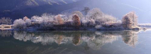 Ice Island (Tiger Seo) - Muzeo.com