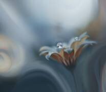 Infinite longing... (Juliana Nan) - Muzeo.com