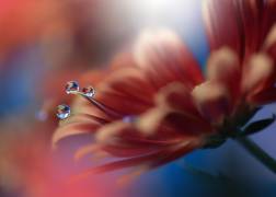 Inmost... (Juliana Nan) - Muzeo.com