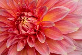 Inner Flame (Richard Urbanski) - Muzeo.com
