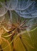 Inside (Kent Mathiesen) - Muzeo.com