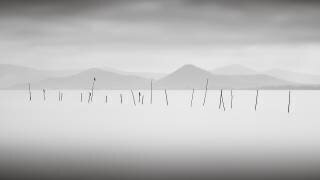 Lago Trasimeno (Ronny Behnert) - Muzeo.com