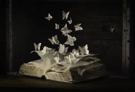 Lepidopterology (Heather Bonadio) - Muzeo.com