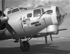 Liberty Belle (Gordon Osmundson) - Muzeo.com