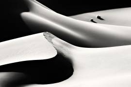 Life (Mohammadreza Momeni) - Muzeo.com