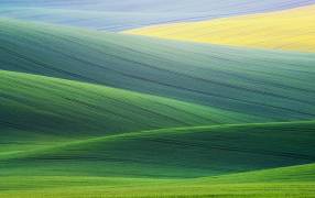 Lines (Ales Komovec) - Muzeo.com