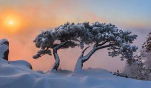 Living Together (Jaeyoun Ryu) - Muzeo.com