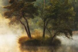 Lonely island (Anton van Dongen) - Muzeo.com