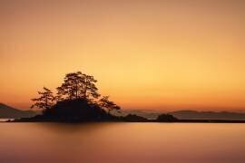 Lonely island (Tiger Seo) - Muzeo.com