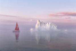 Midnight Sun (Yang Jiao) - Muzeo.com