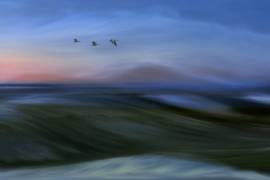 Migrants (Bjorn Emanuelson) - Muzeo.com