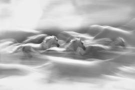 Morning dream (Milan Malovrh) - Muzeo.com
