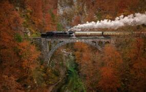 Museum train (Ales Krivec) - Muzeo.com