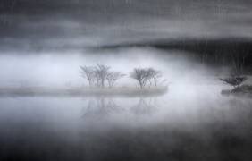 Mysterious pond (Teruo Araya ) - Muzeo.com