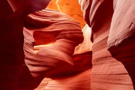 Natural Sculpture (Shin Woo Ryu) - Muzeo.com