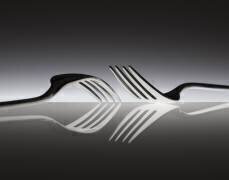 Opposites (Wieteke de Kogel) - Muzeo.com