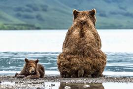 Opposites (Giuseppe Damico) - Muzeo.com