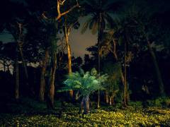 Painting in the Dark (Carli Choi) - Muzeo.com