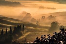 Poetry (Pamela Doretti) - Muzeo.com