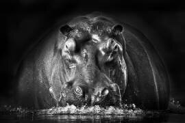Power (Gorazd Golob) - Muzeo.com