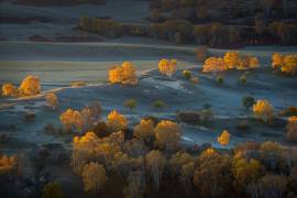 Prairie light (C. Mei) - Muzeo.com
