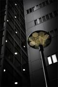 Punti luce (Gilbert Claes ) - Muzeo.com